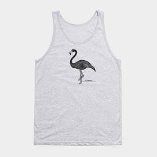 Flamingo with Common and Scientific Names - detailed bird design Tank Top